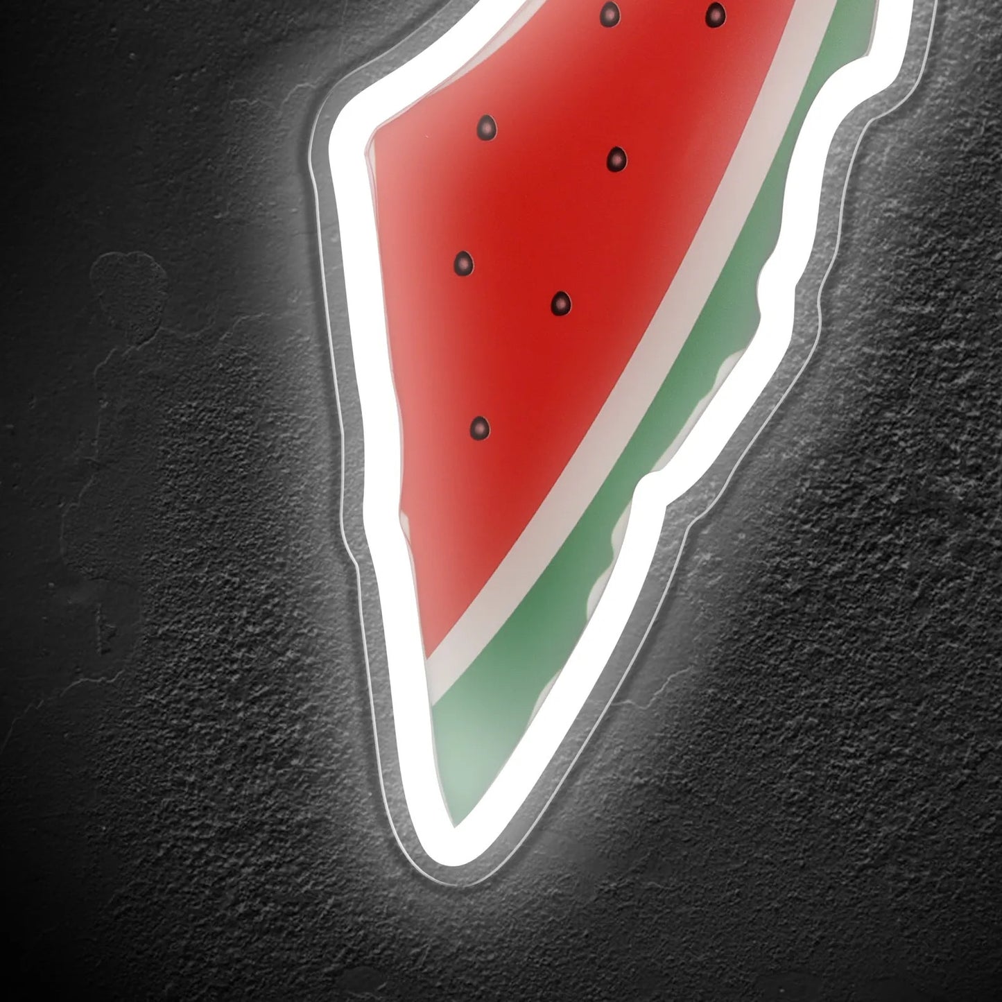 Palestinian Watermelon Map Neon Light